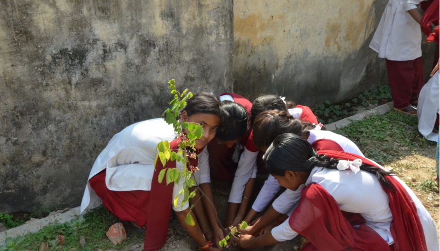 Planting sapling, Birbhum, W. Bengal
